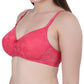 Womans Seamless Padded Nylon Lace Everyday Non Wired Bra with Detachable Straps | Transparent Straps Included